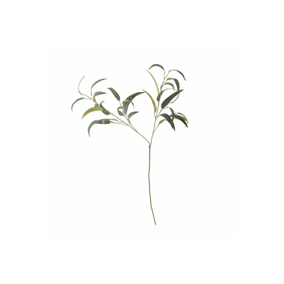 Eucalyptus Stem – Green 101 cm