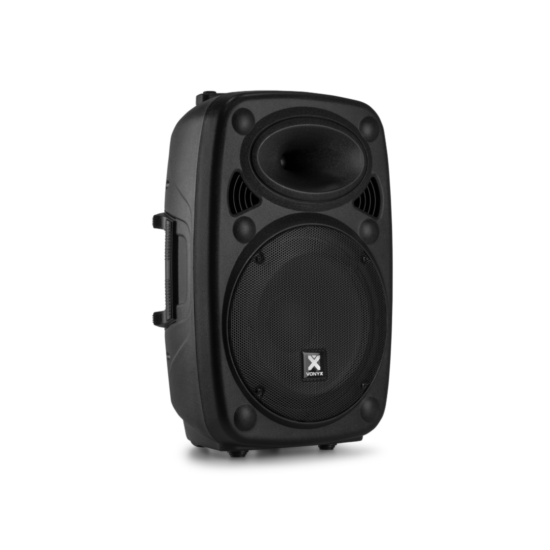 Portable Sound System 12”