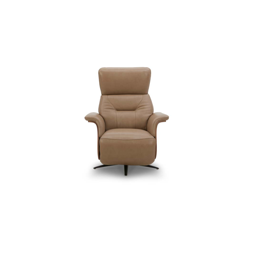 Recliner Sofa - Taupe