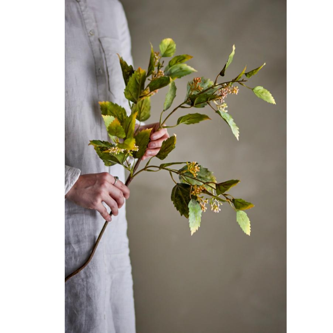 Eucalyptus Stem – Green
