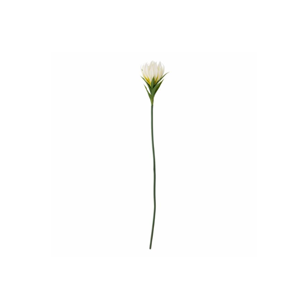Lily Stem – White