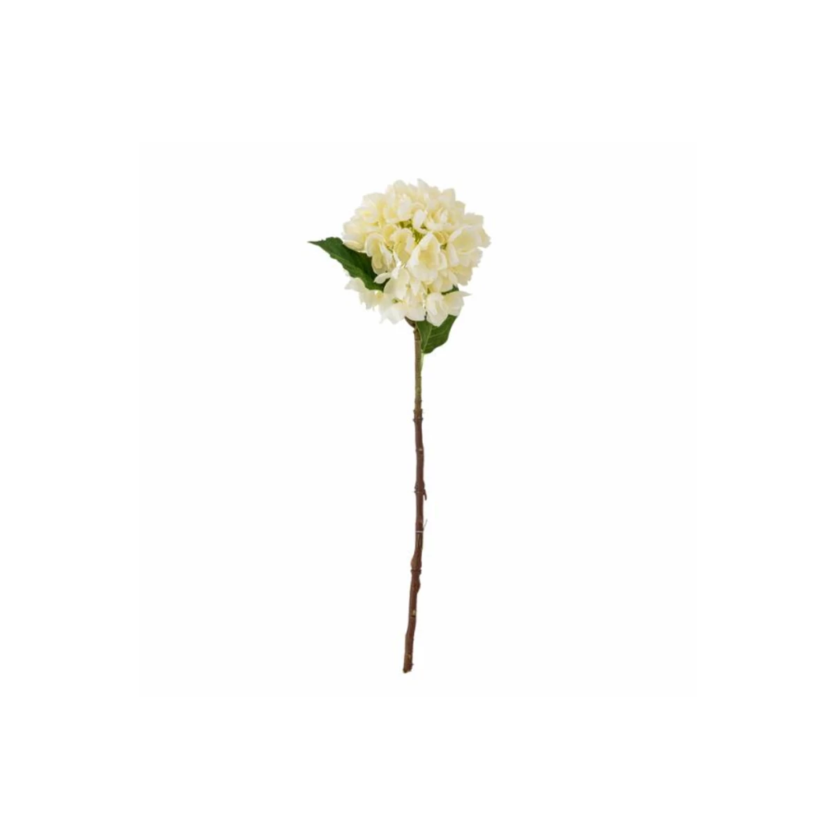 Hydrangea Stem – White image 1