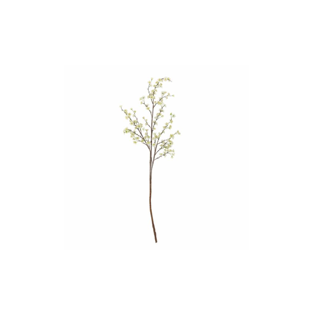 Branch – White