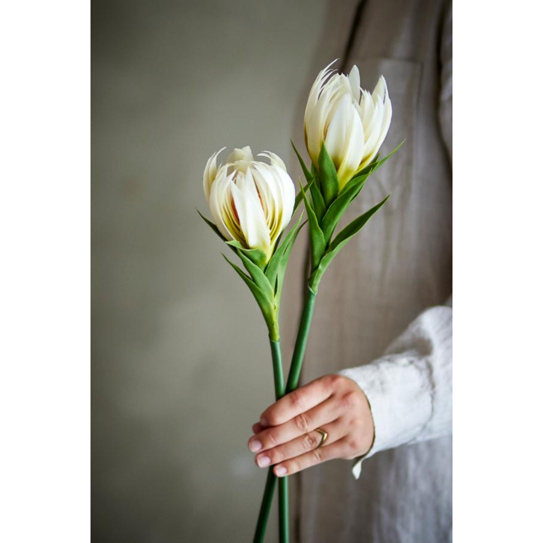 Lily Stem – White