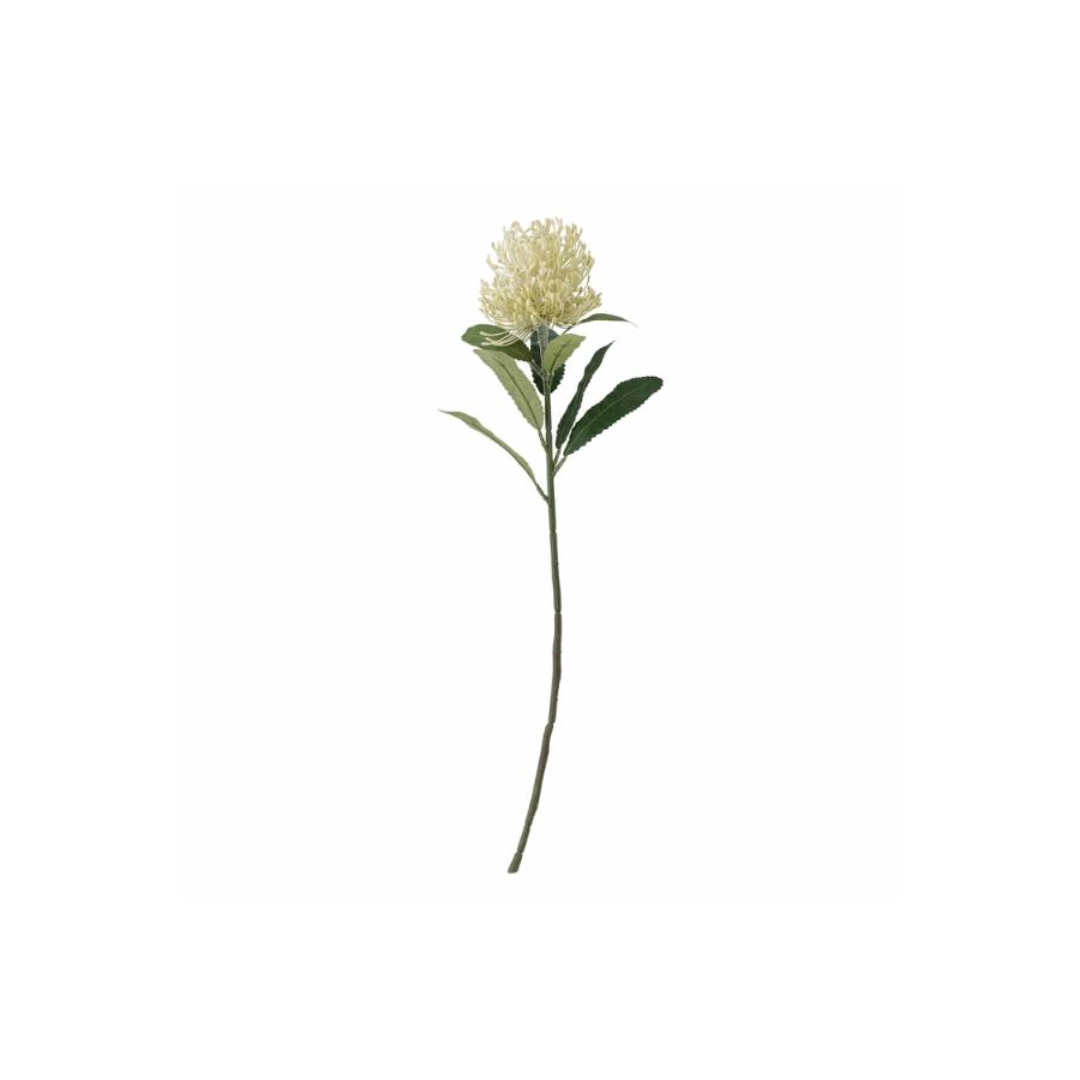 Needle Flower Stem – Yellow