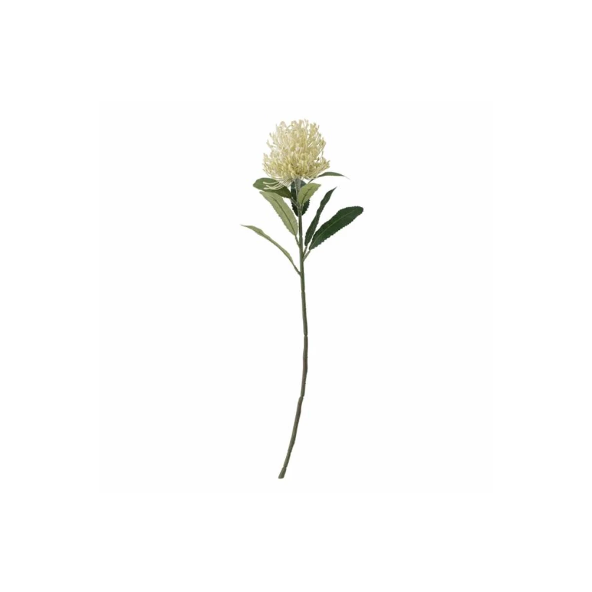 Needle Flower Stem – Yellow image 1