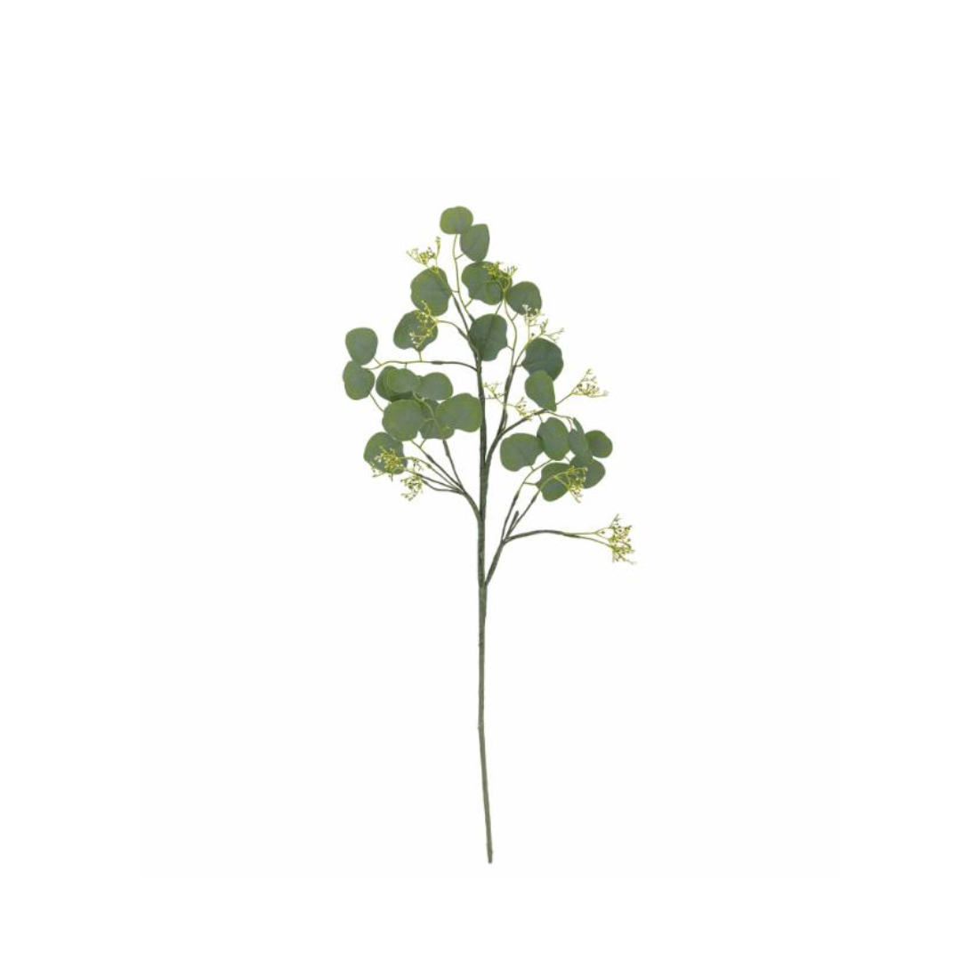 Eucalyptus Stem – Green 82 cm