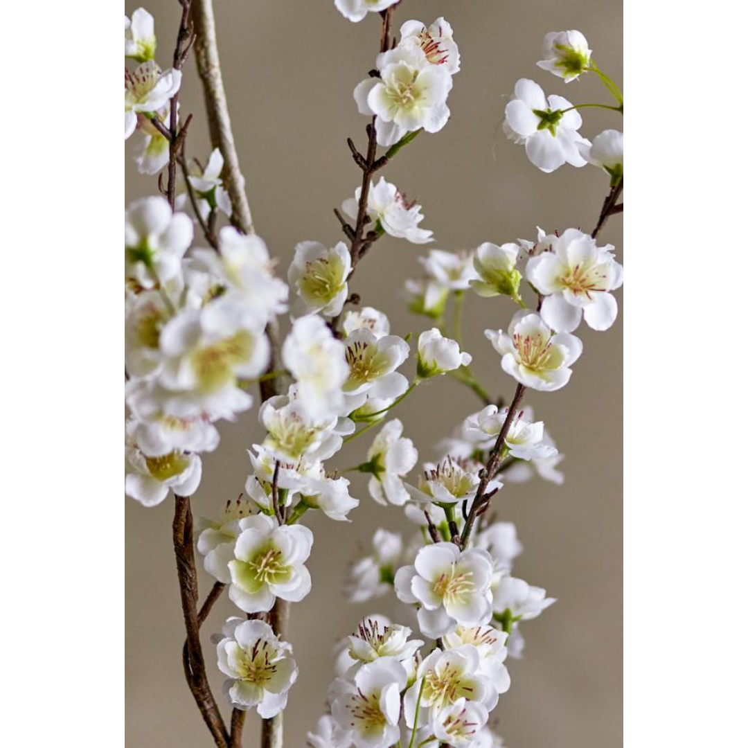 Branch – White