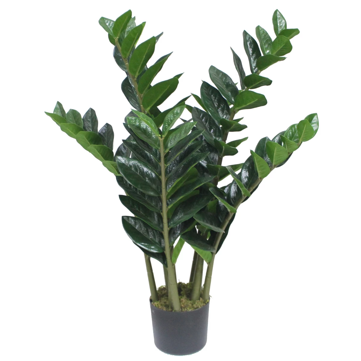 Artificial Zimioculcas Tree Black Pot 80 image 1