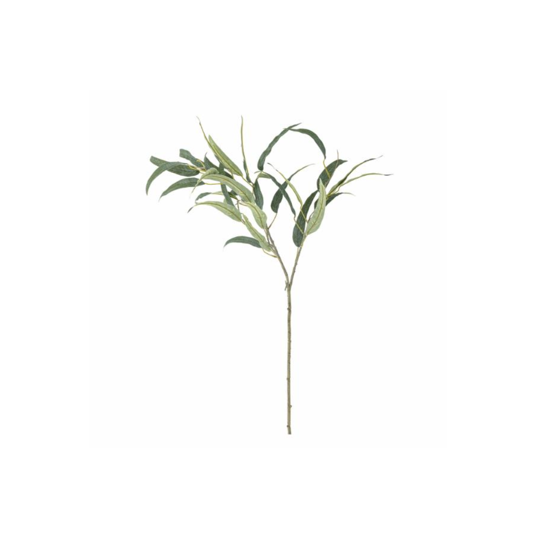 Eucalyptus Stem – Green