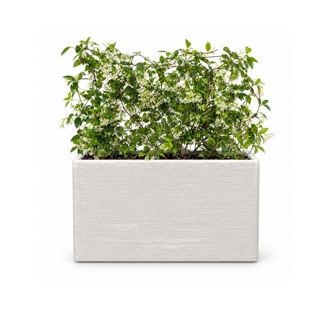 High Striped Vasar Planter Box - White