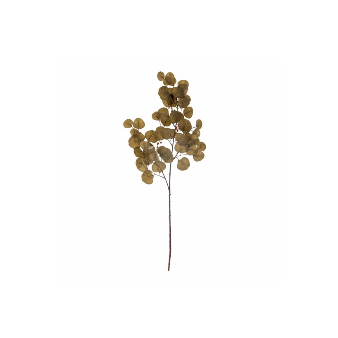 Eucalyptus Stem – Brown 86 cm
